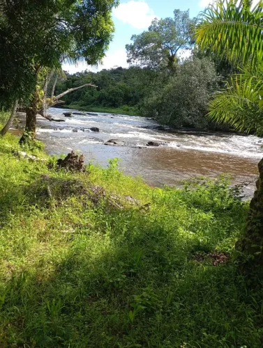 Vendo excelente fazendinha no município de Jaguaripe Bahia 