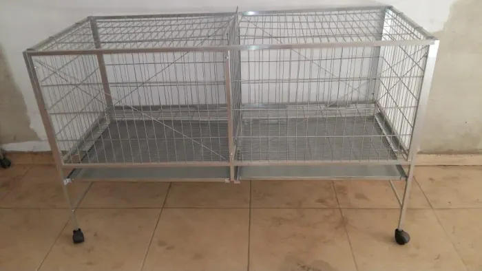 Corredeiras para cães