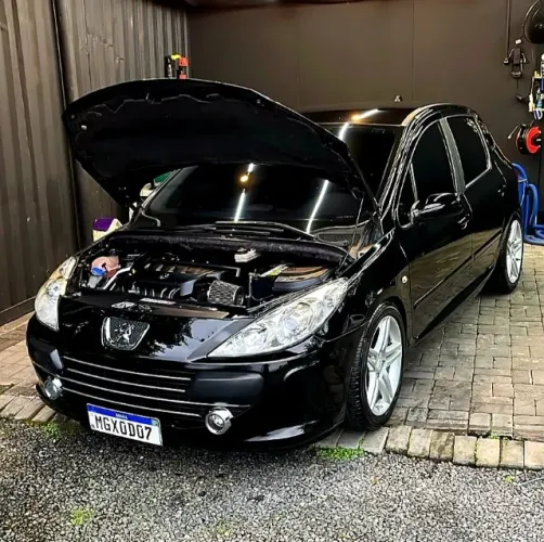 Peugeot 307 Feline 2.0/2.0 Flex 16V 5P Mec. 2007