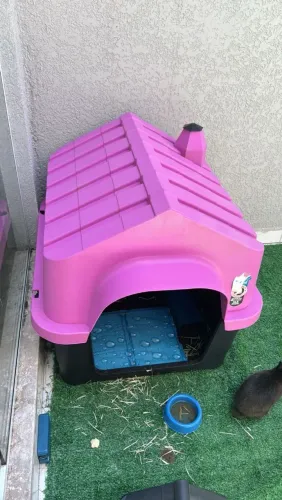 Casa de cachorro