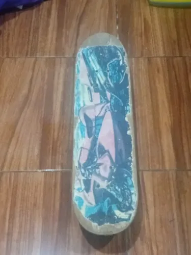 Skate usado