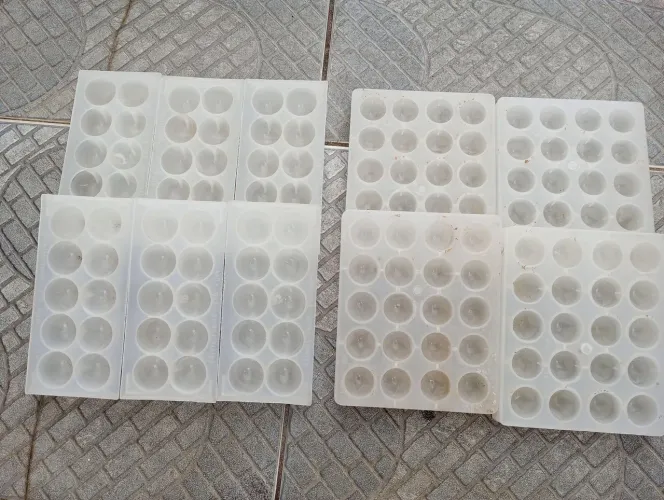 Fôrmas e embalagens para bombons 