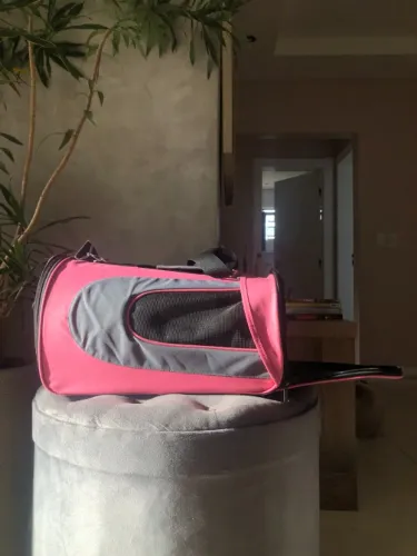 Bolsa de Transporte para Pets Pet&Go