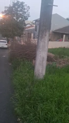 Serviço para pulverizar terreno