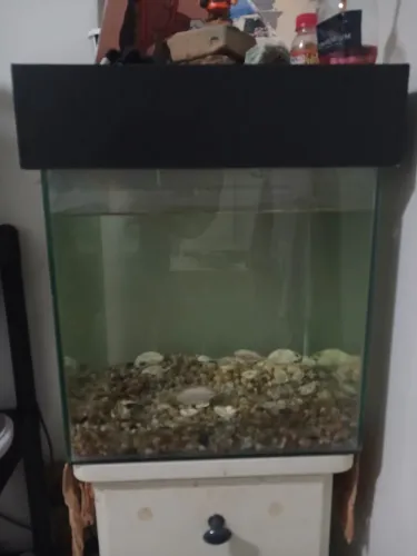 Aquário 70 litros