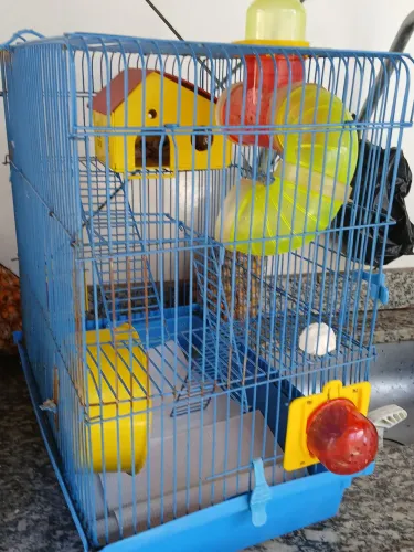 Gaiola de hamister