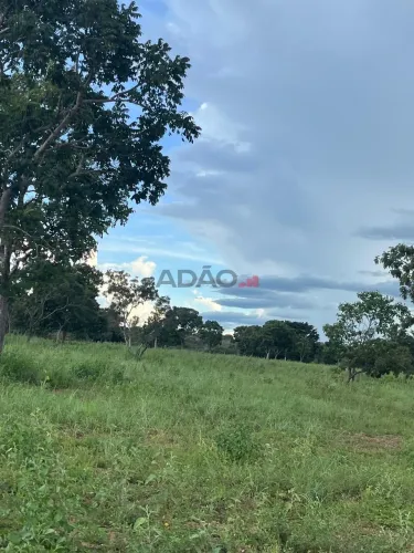 FAZENDA MUNICIPIO- URUAÇU Fazenda à Venda, 5000.00 por R$ 2500000.00 VN39476