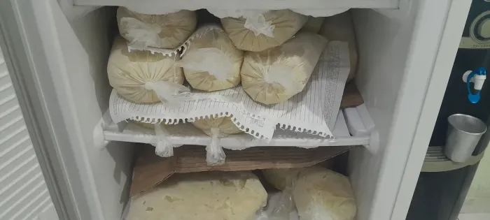 Vendo Polpa de Cupuaçu
