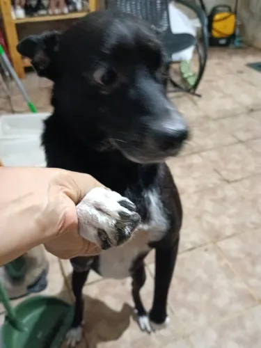 Doação 