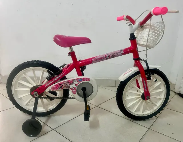 Unicórnio- Aro 16