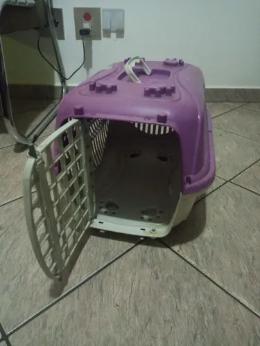 Caixa de transporte gatos