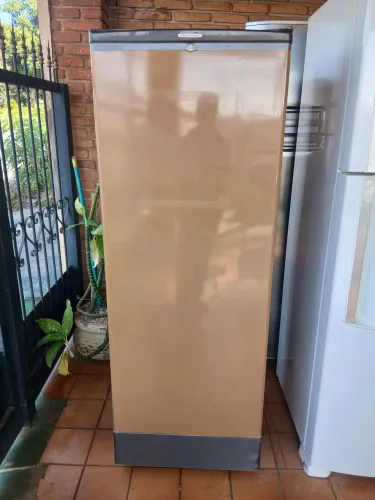 Geladeira Brastemp Clean 312lts 110V