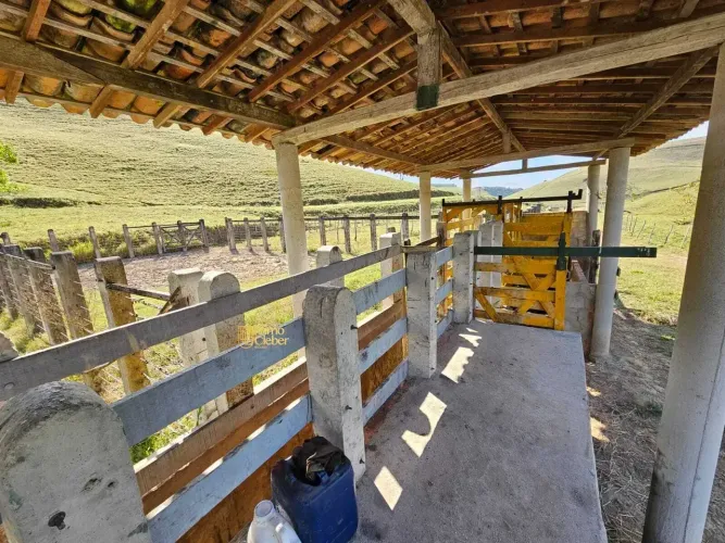 Fazenda 100 Hectares À Venda em Maceió, Oportunidade!