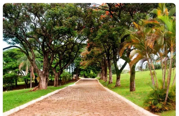 Jazigo - Cemitério Parque da Colina