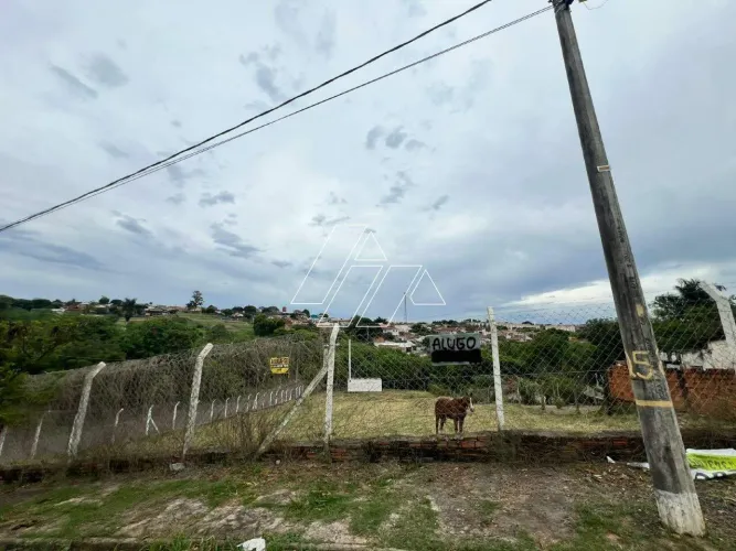Terreno à venda com 2.900 m² no Bairro Betel Marília/SP