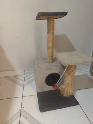 Casinha de gato 
