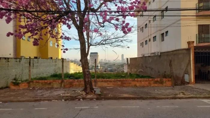TERRENO CAMPOLIM
