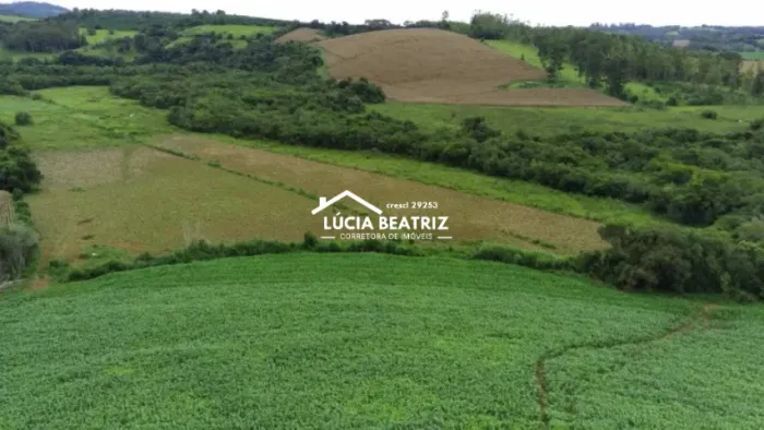 Excelente Sítio de 24,2 Hectares, em São Gonçalo do Sapucaí/MG