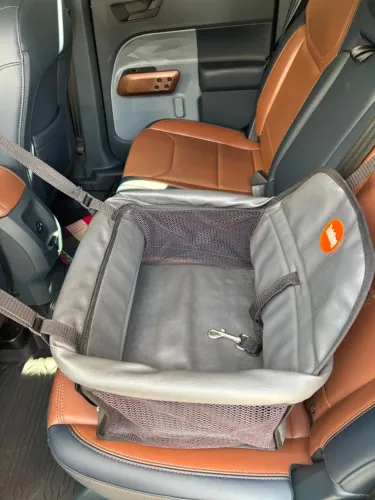 Cadeirinha Assento Pet Carro Para Cachorro Gatos Até 10kg