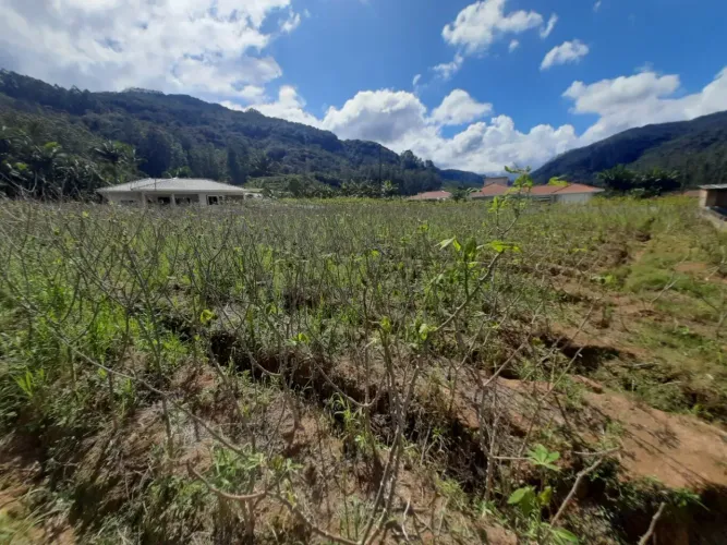 Terreno para venda no bairro Vila Doze De Outubro em Antônio Carlos