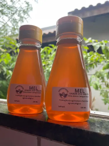 Mel silvestre abelha Europa 