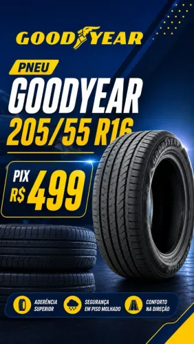 PNEU ARO 16 205/55