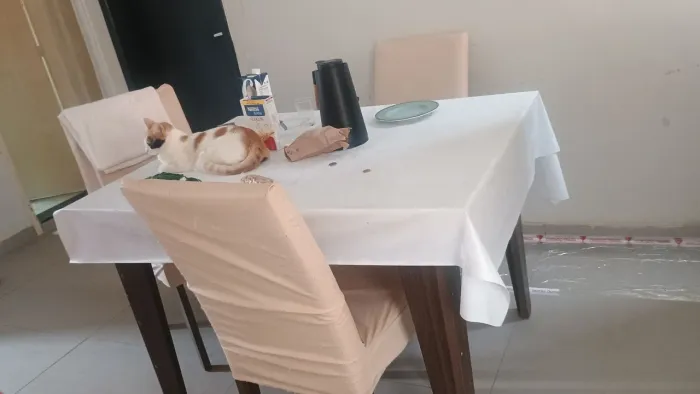 Vende-se mesa de jantar