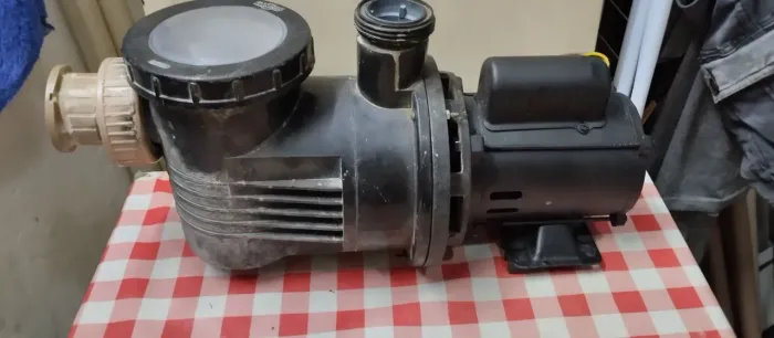 Bomba dancor de piscina 1/4 CV.motor novo