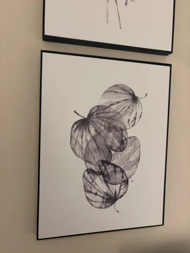 Quadro