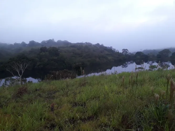Ilha na barragem 