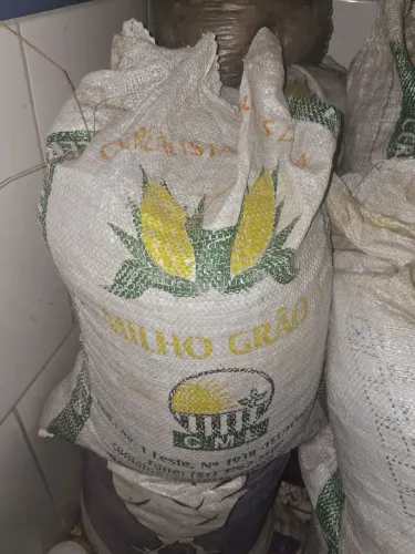 Esterco de galinha 