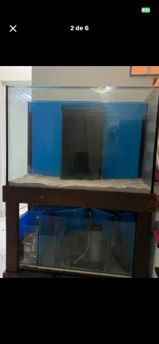 Aquário marinho completo