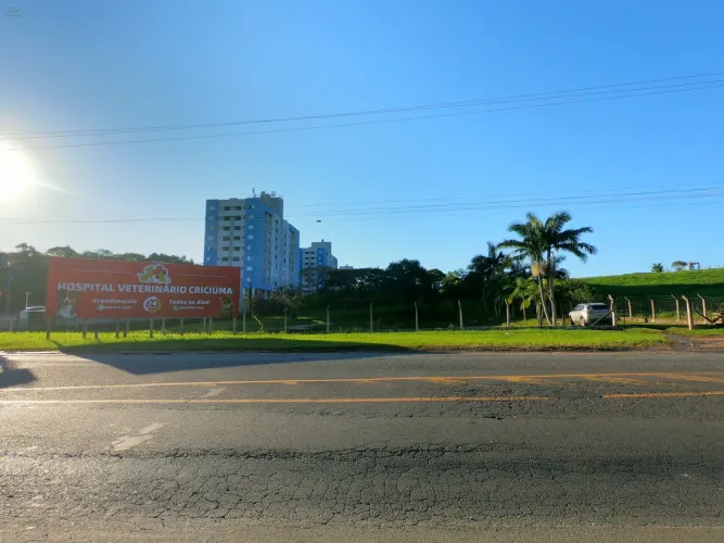 Sítio com 2 Hectares na Primeira Linha!