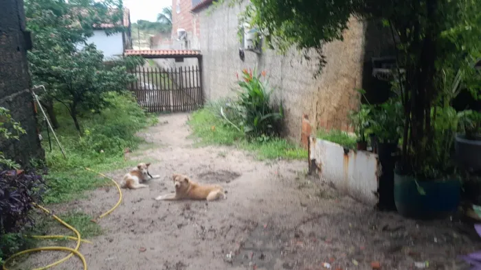 Abreulândia/ próx a praia