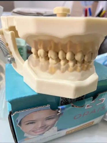 Manequim Periodontia