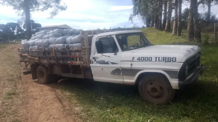 Ford F-4000 2.8 Turbo Intercooler Diesel 2P Manual 1979