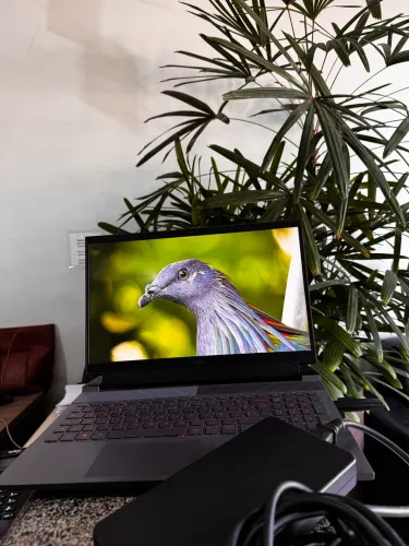 Dell G15 Gamer (Modelo 5530) HX