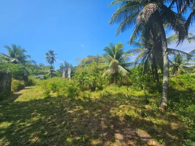 Terreno para Venda em Camaçari, Centro