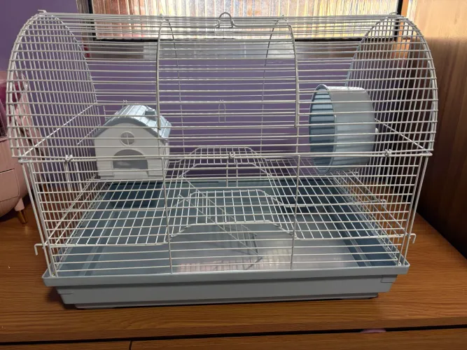 Casa hamster