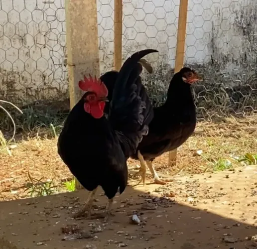 Casal de Garnizes