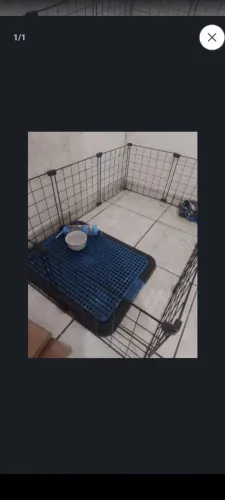 Cercado+ banheiro higiênico+ comedouro e bebedouro