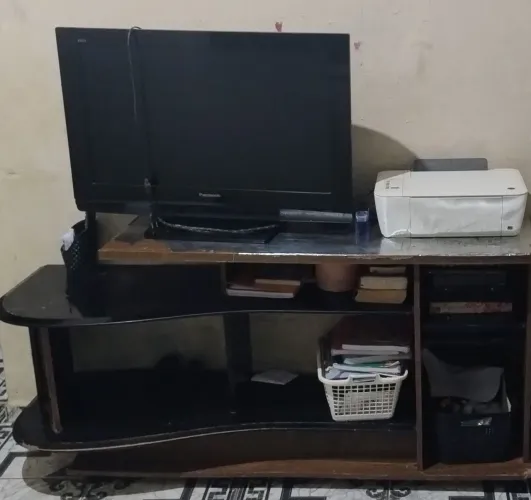 Tv usado voltagem 110