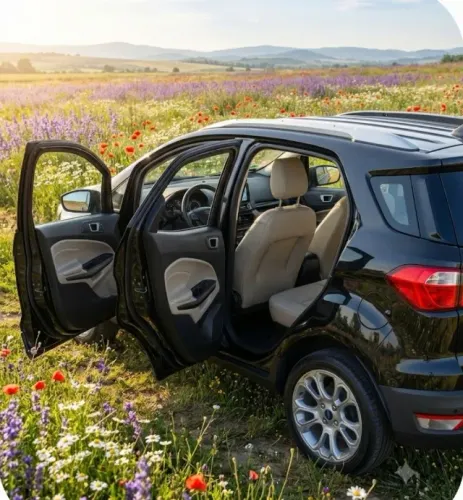 Ford Ecosport Titanium 1.5 12V Flex 5P AUT 2020