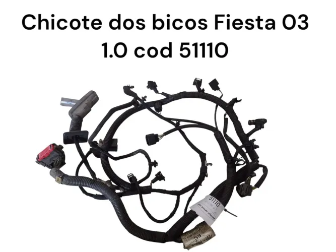 Chicote dos bicos fiesta 03 