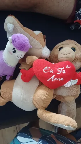 Lote de pelucia
