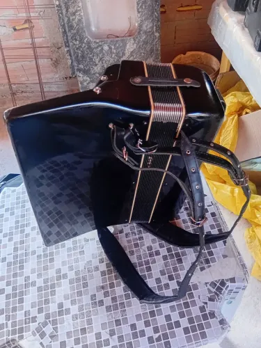 Acordeon universal 120 baixos