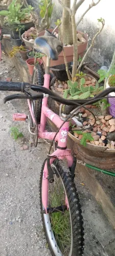 Vendo Baik