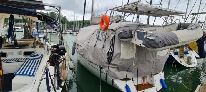 Vleiro Delta 36