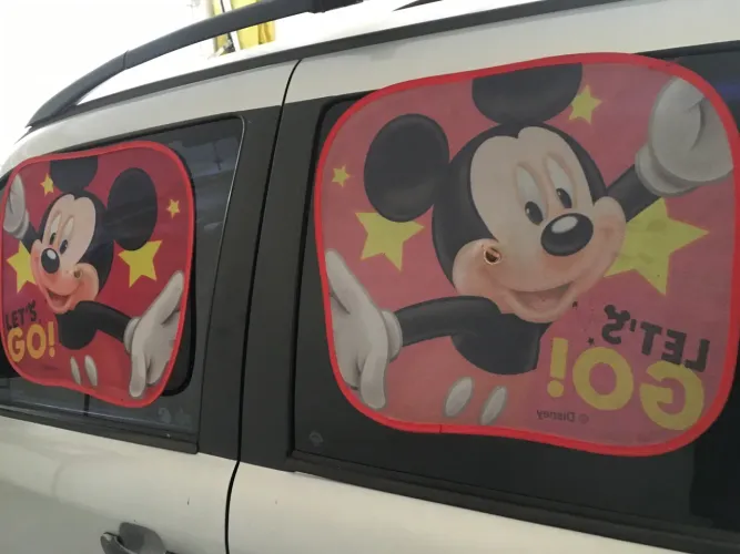 Proteção de Sol para carro infantil 