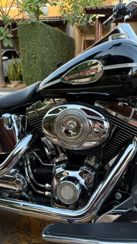 Harley Davidson Deluxe 2013